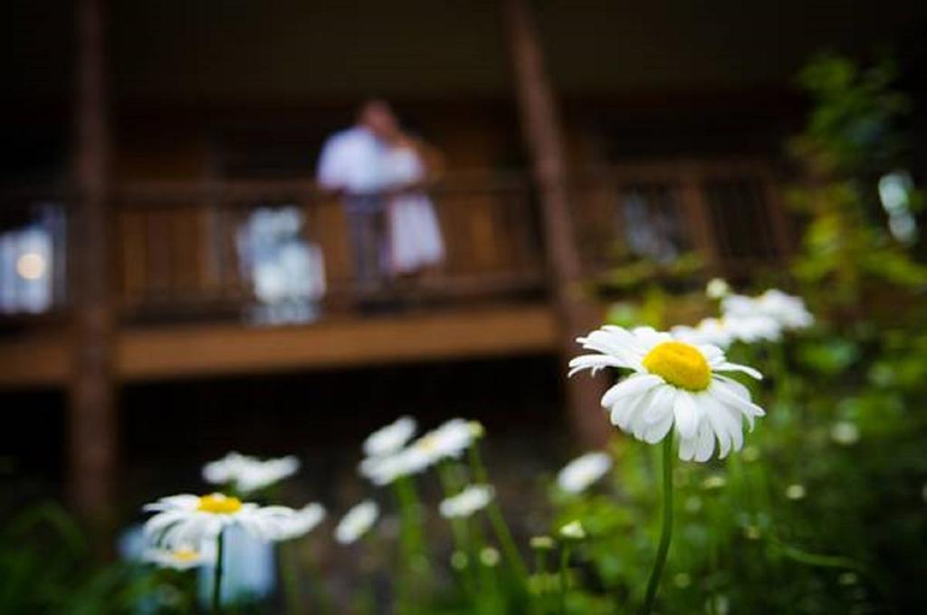 The Fern Lodge Chestertown エクステリア 写真
