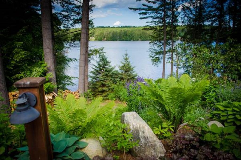 The Fern Lodge Chestertown エクステリア 写真