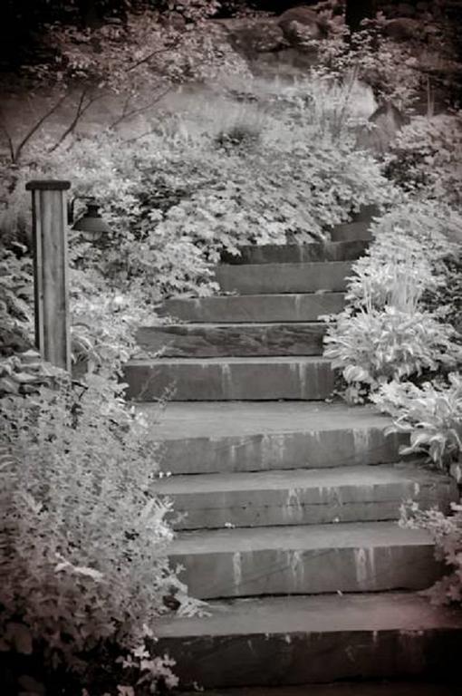 The Fern Lodge Chestertown エクステリア 写真