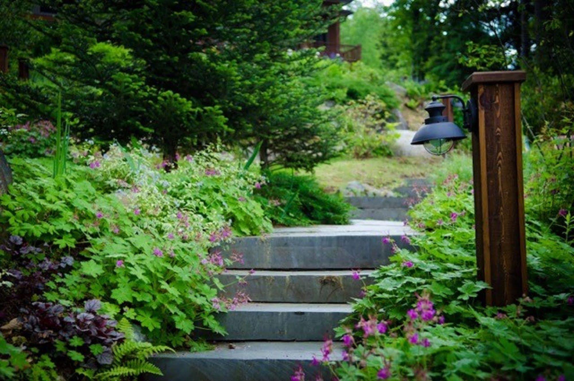 The Fern Lodge Chestertown エクステリア 写真