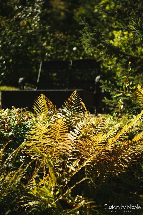 The Fern Lodge Chestertown エクステリア 写真
